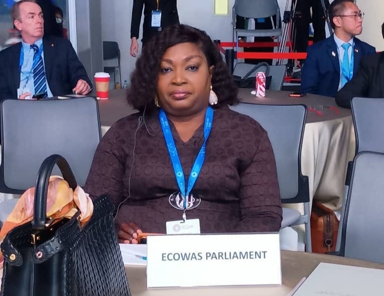 Memounatou_ecowas_fmi